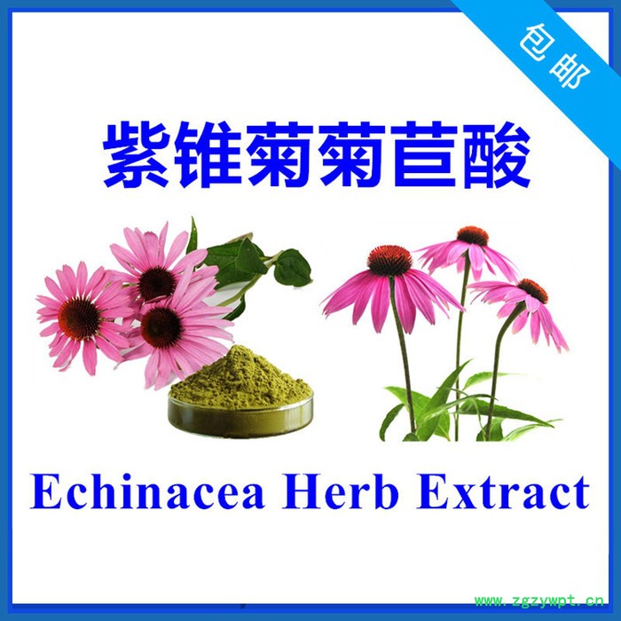 虫草素3% 蛹虫草提取物 3'-脱氧腺苷 厂家直发 1kg包邮图6