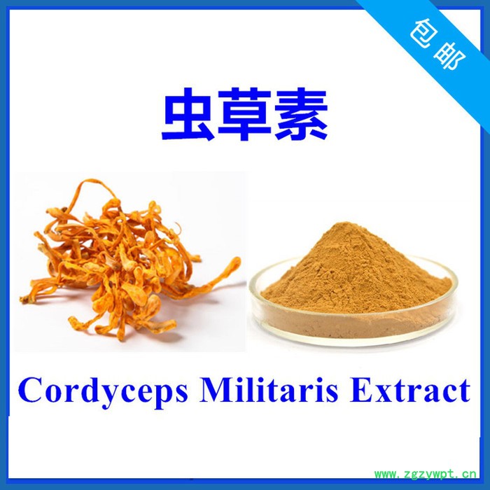 虫草素3% 蛹虫草提取物 3'-脱氧腺苷 厂家直发 1kg包邮图2