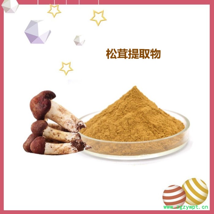 斯诺特 白桦茸提取物 全水溶 白桦茸多糖图5