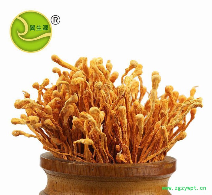 虫草花干货翼生源特级大孢子头**新货228克图2