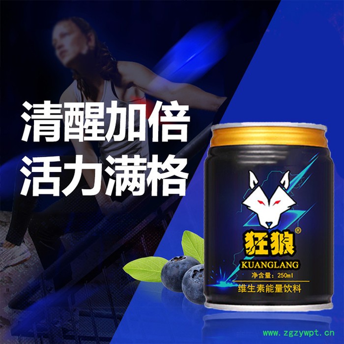 康美保健品代加工 蛹虫草片OEM生产厂家  产品OEM生产图4