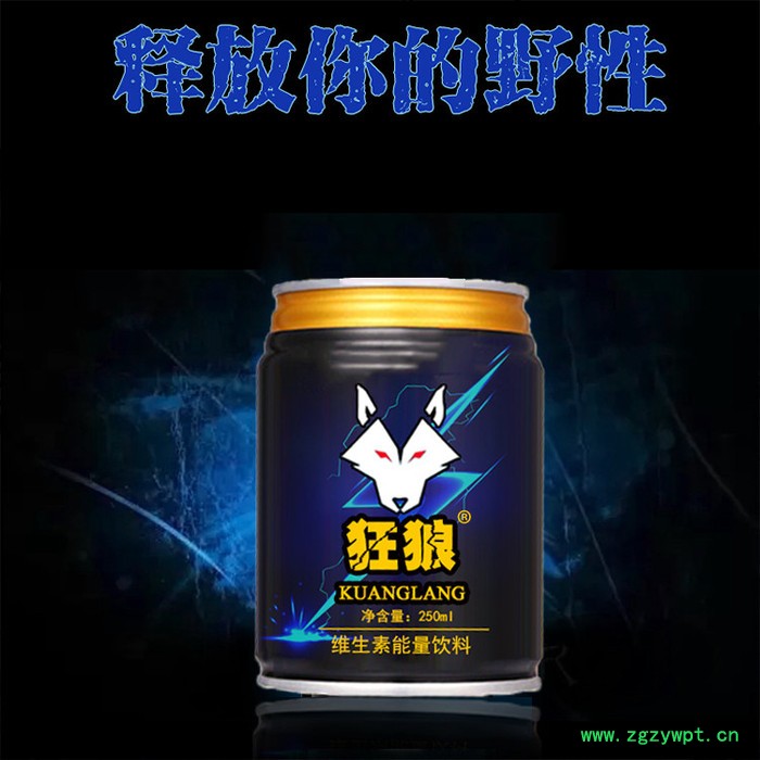 康美保健品代加工 蛹虫草片OEM生产厂家  产品OEM生产图2