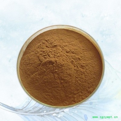 昂煦 紫芝提取物  新资源食品原料紫芝粉