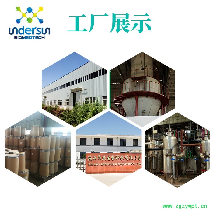 昂煦 紫芝提取物  新资源食品原料紫芝粉图3