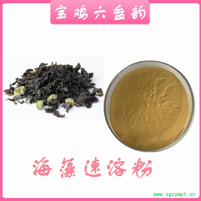 海藻速溶粉 水溶 可定制 海藻提取物厂家图2