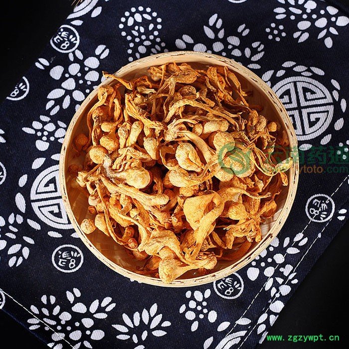 虫草花干货大孢子头北虫草蛹虫草金虫草花煲汤料