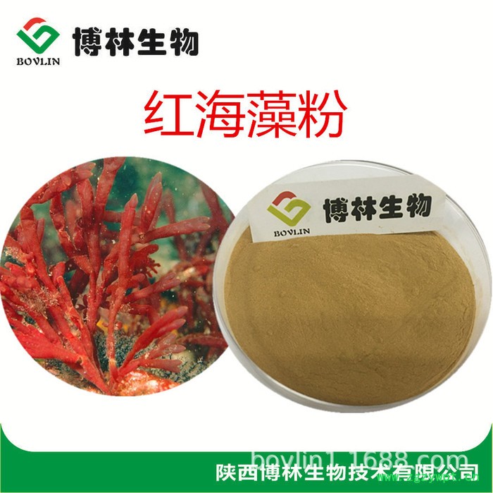 红海藻粉 植物提取物  包邮 海藻提取物 红海藻提取物图2