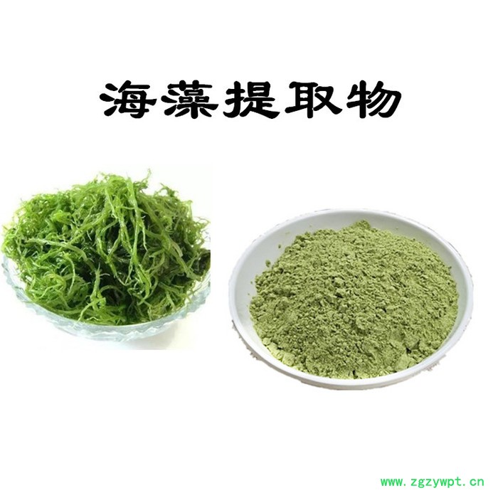 水溶海藻肽98%  小分子海藻肽 海藻提取物图3