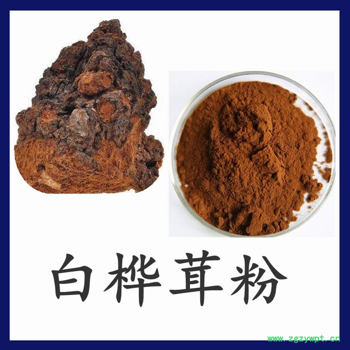 白桦茸粉   可定制  水溶性  白桦茸浓缩粉厂家图3