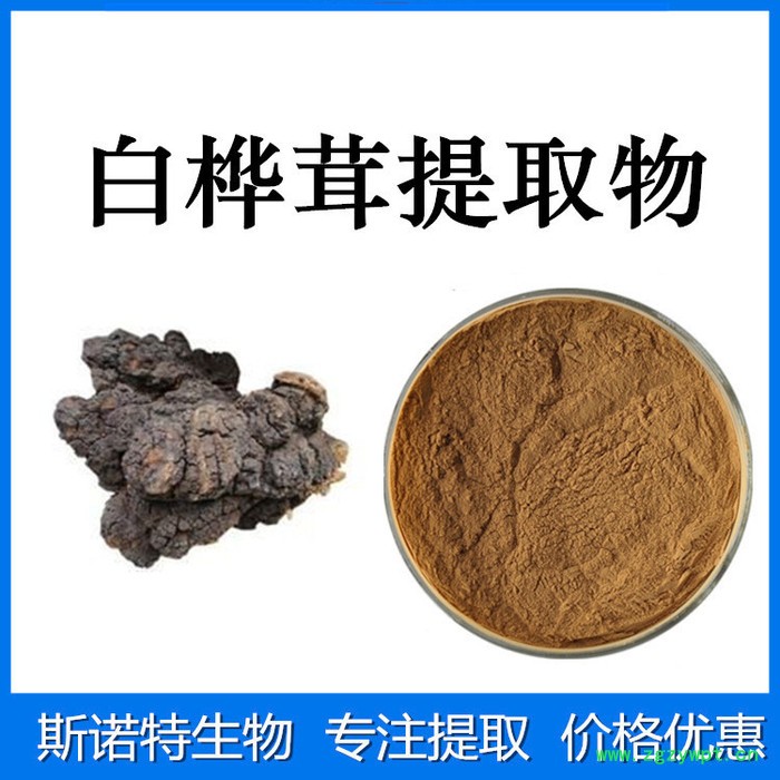 白桦茸提取物 白桦茸多糖30% 全水溶 健康原料图3