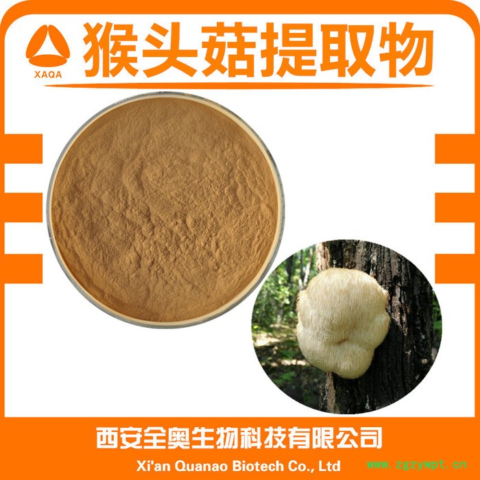猴头菇提取物 猴头菇粉 水溶 SC证 猴头菇提取 猴头菇浸膏粉图4