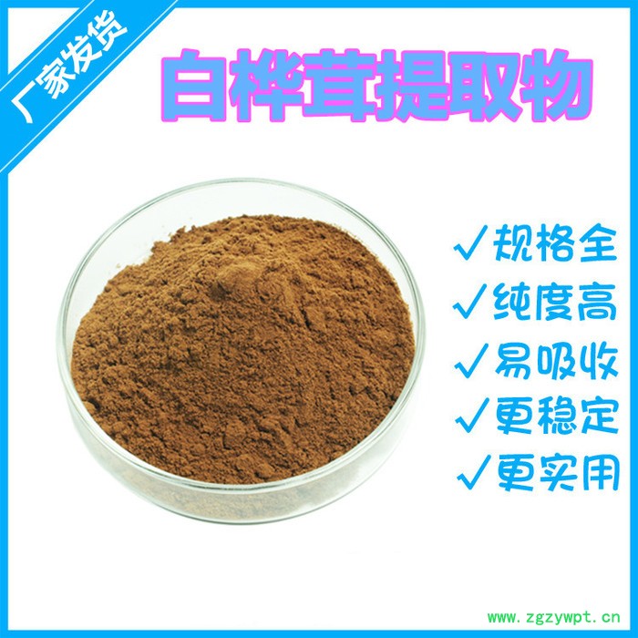 【实力工厂】白桦茸提取物 白桦茸多糖 50%高含量 桦褐孔菌粉图5