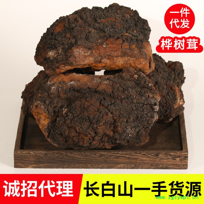 桦树茸黑晶颗粒,30年树龄桦树茸1000克,大块白桦茸图3