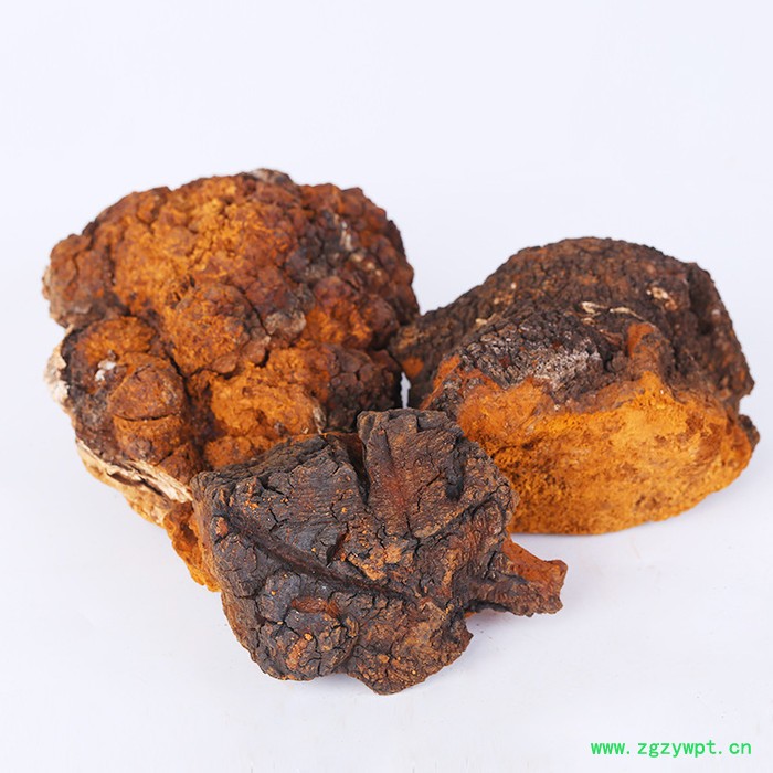 桦树茸黑晶颗粒,30年树龄桦树茸1000克,大块白桦茸图2