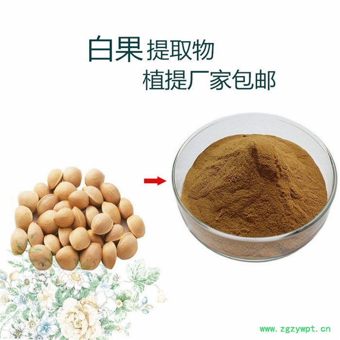 白桦茸多糖提取物  桦树茸多糖  白桦茸粉 三萜类化合物  当天发货图5