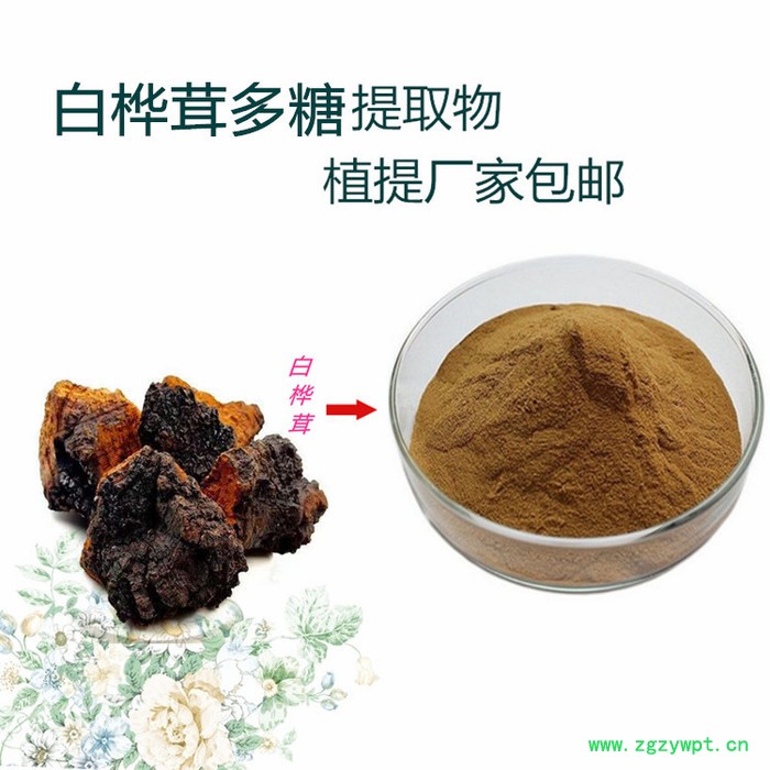 白桦茸多糖提取物  桦树茸多糖  白桦茸粉 三萜类化合物  当天发货图6