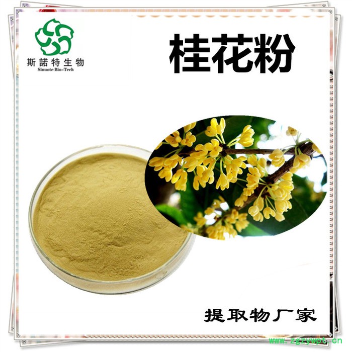 斯诺特 猴头菇提取物 猴头菇多糖 生产厂家图2