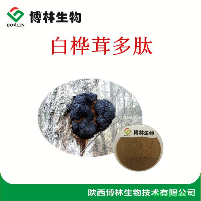 白桦茸多肽 白桦茸糖肽 小分子肽 多种规格1公斤起订图2