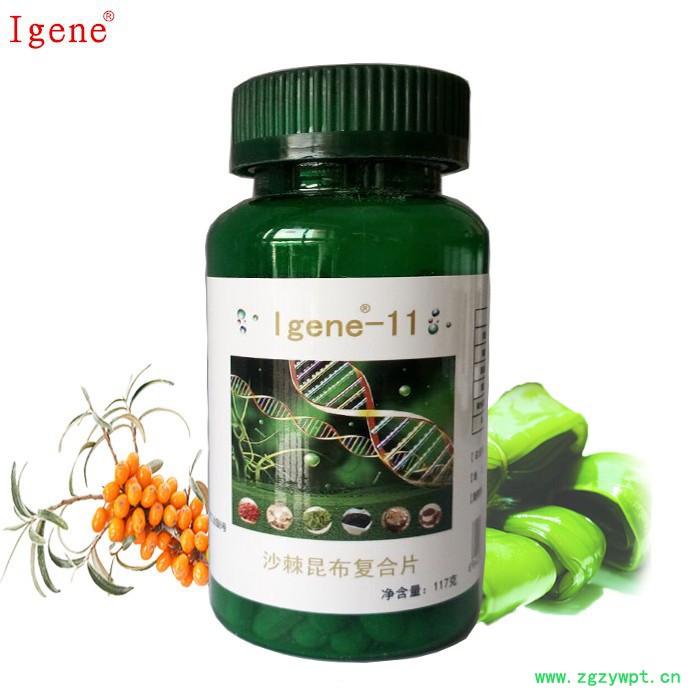 Igene-11沙棘昆布复合片 650mg/片*180片 瓶装图3