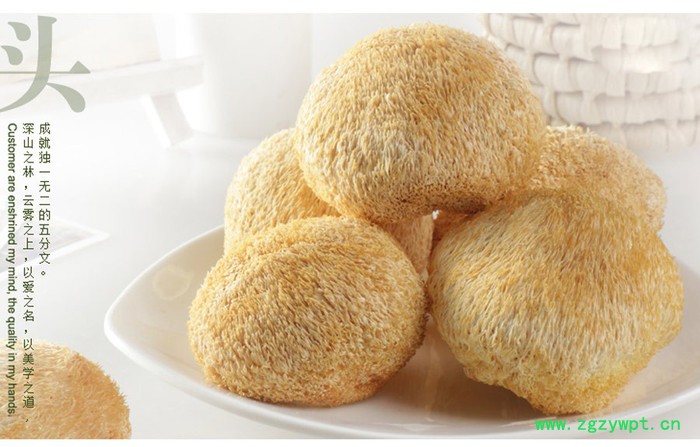 北威 猴头菇 **猴头菇图2