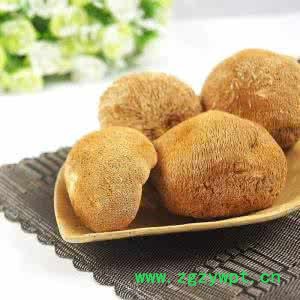 北威 猴头菇 **猴头菇