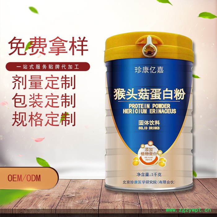 山东  猴头菇蛋白粉 源头厂家  猴头菇 蛋白粉  快手网红直播 猴头菇蛋白粉厂家 蛋白粉 oem贴牌代加工 猴头菇图3