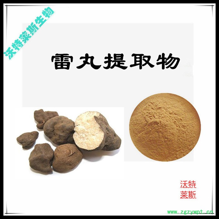 沃特莱斯 雷丸提取物10:1  速溶雷丸粉图5