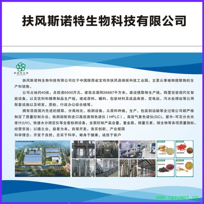 海带粉  昆布  海带速溶粉  浓缩粉  厂家发货图2