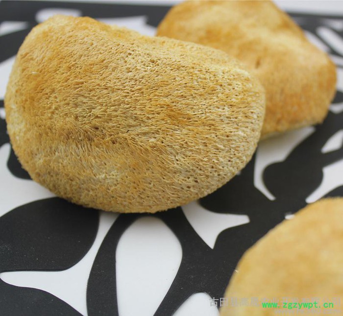 【古耳】直批古田猴头菇干货 猴头蘑菇 新货猴头菌 个大毛长图2