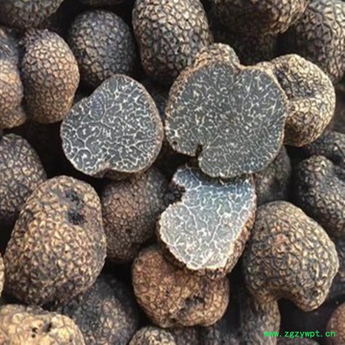 斯诺特 黑松露多糖 黑松露提取物 厂家发货图8