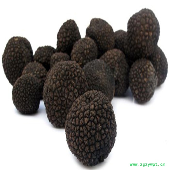 斯诺特 黑松露多糖 黑松露提取物 厂家发货图4