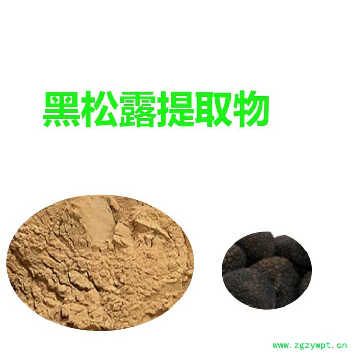 甘肃斯诺特  黑松露提取物 黑松露粉   量大从优图2