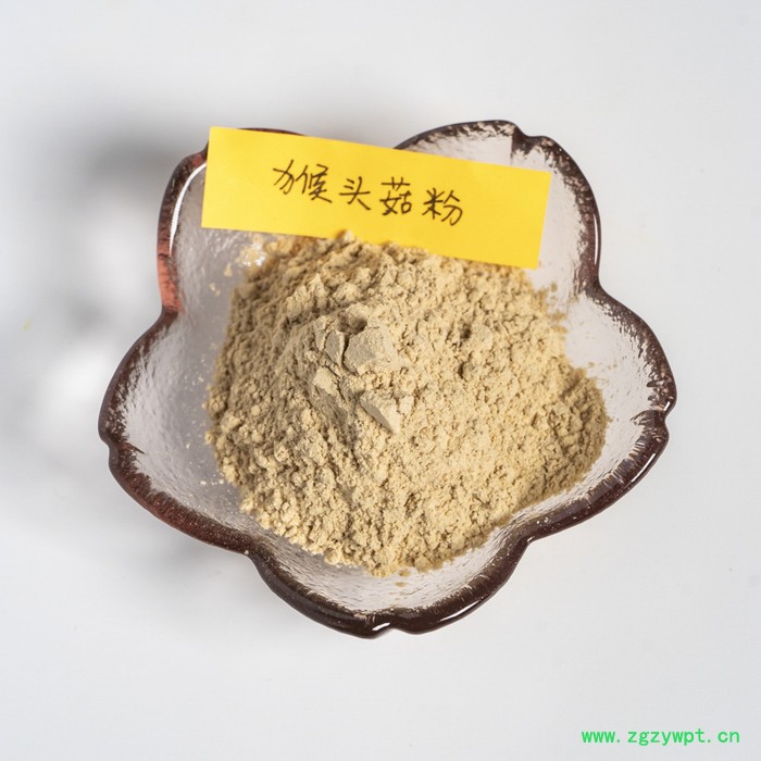 金萃坊 现货供应 猴头菇提取物 猴头菇粉 猴头菇水溶粉 猴头菇原粉图4