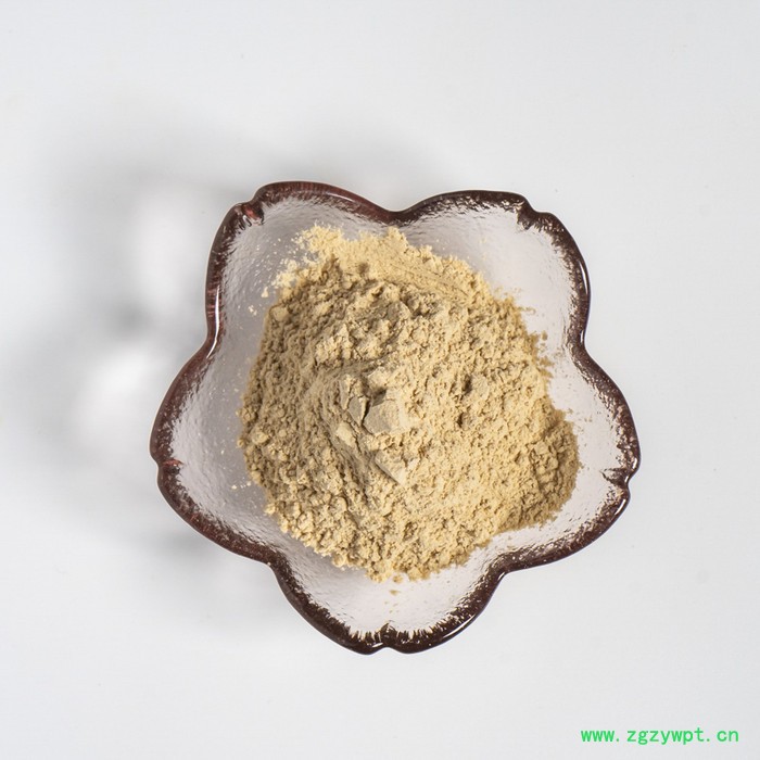 金萃坊 现货供应 猴头菇提取物 猴头菇粉 猴头菇水溶粉 猴头菇原粉图3