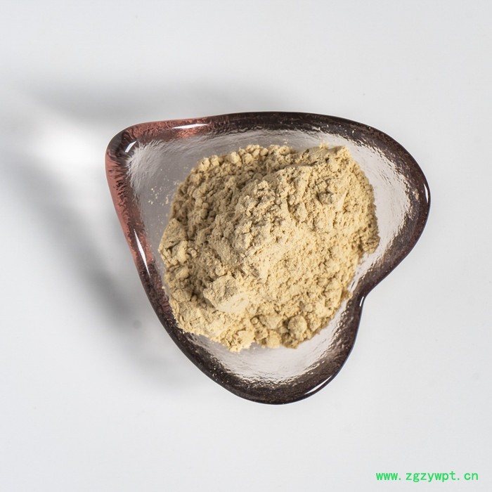 金萃坊 现货供应 猴头菇提取物  猴头菇粉 猴头菇水溶粉  猴头菇原粉