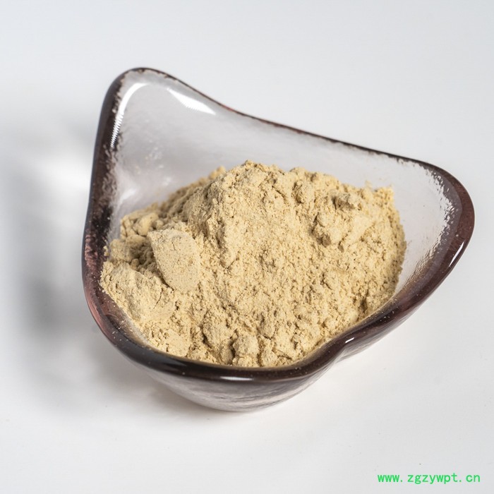 金萃坊 现货供应 猴头菇提取物 猴头菇粉 猴头菇水溶粉 猴头菇原粉图2