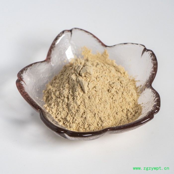 金萃坊 现货供应 猴头菇提取物  猴头菇粉 猴头菇水溶粉  猴头菇原粉图5