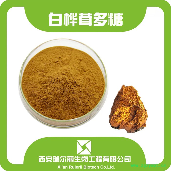 白桦茸多糖50%  白桦茸菌粉 桦褐孔菌  西安瑞尔丽植提工厂图5