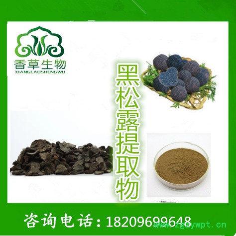 黑松露提取物 黑松露多糖 黑松露粉 黑松露速溶粉图4