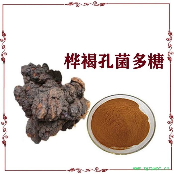 桦褐孔菌多糖  白桦茸提取物   白桦茸糖肽图5