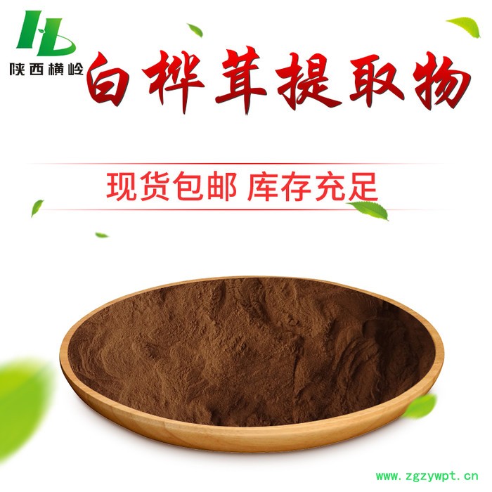 白桦茸提取物 白桦茸多糖 水溶性白桦茸粉 横岭 植物提取物厂家供应图4