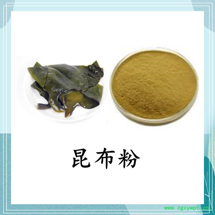 昆布粉 斯诺特 可定制图4