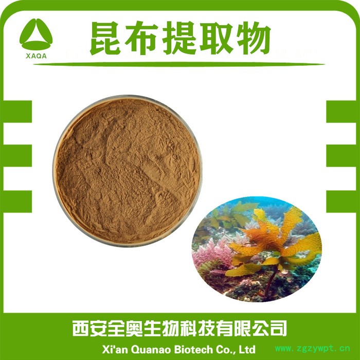 全奥生物 昆布提取物 水溶 昆布粉 海带粉 浓缩粉 海带提取物 SC厂家图6