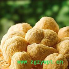 猴头菇干鲜品供应，量大从优欢迎选购图5