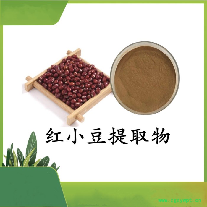 昆布提取物 斯诺特 可定制图4