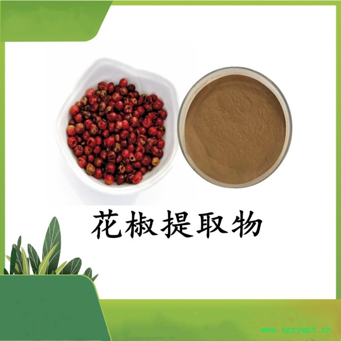 昆布提取物 斯诺特 可定制图3