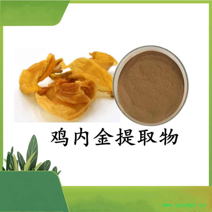 昆布提取物 斯诺特 可定制图2