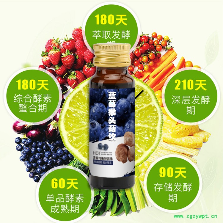 蓝莓猴头菇饮品贴牌加工 莓猴头菇液饮网红产品一件代发 蓝莓猴头菇果味液饮