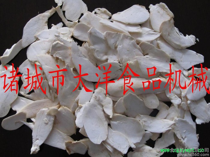 供应大洋SQP猴头菇切片机图2