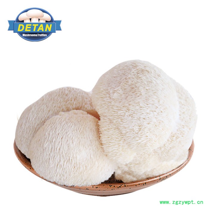 DETAN 新鲜猴头菇图3